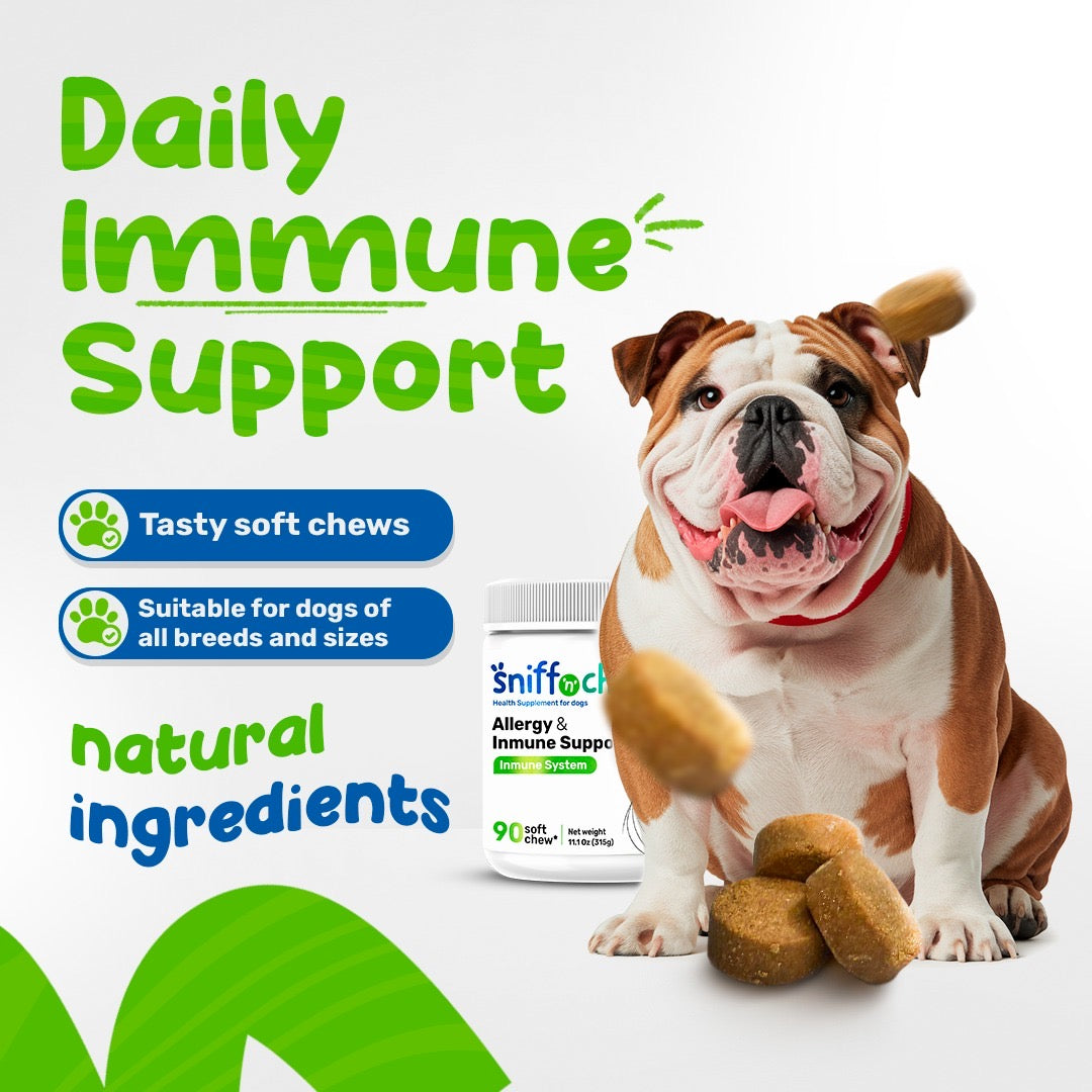 sniff 'n' chomp allergy & immune support for dogs – chicken flavor – 90 soft chews – skin, coat & immune system support – with colostrum, turmeric, salmon oil, apple cider vinegar & probiotics - sniff 'n' chomp