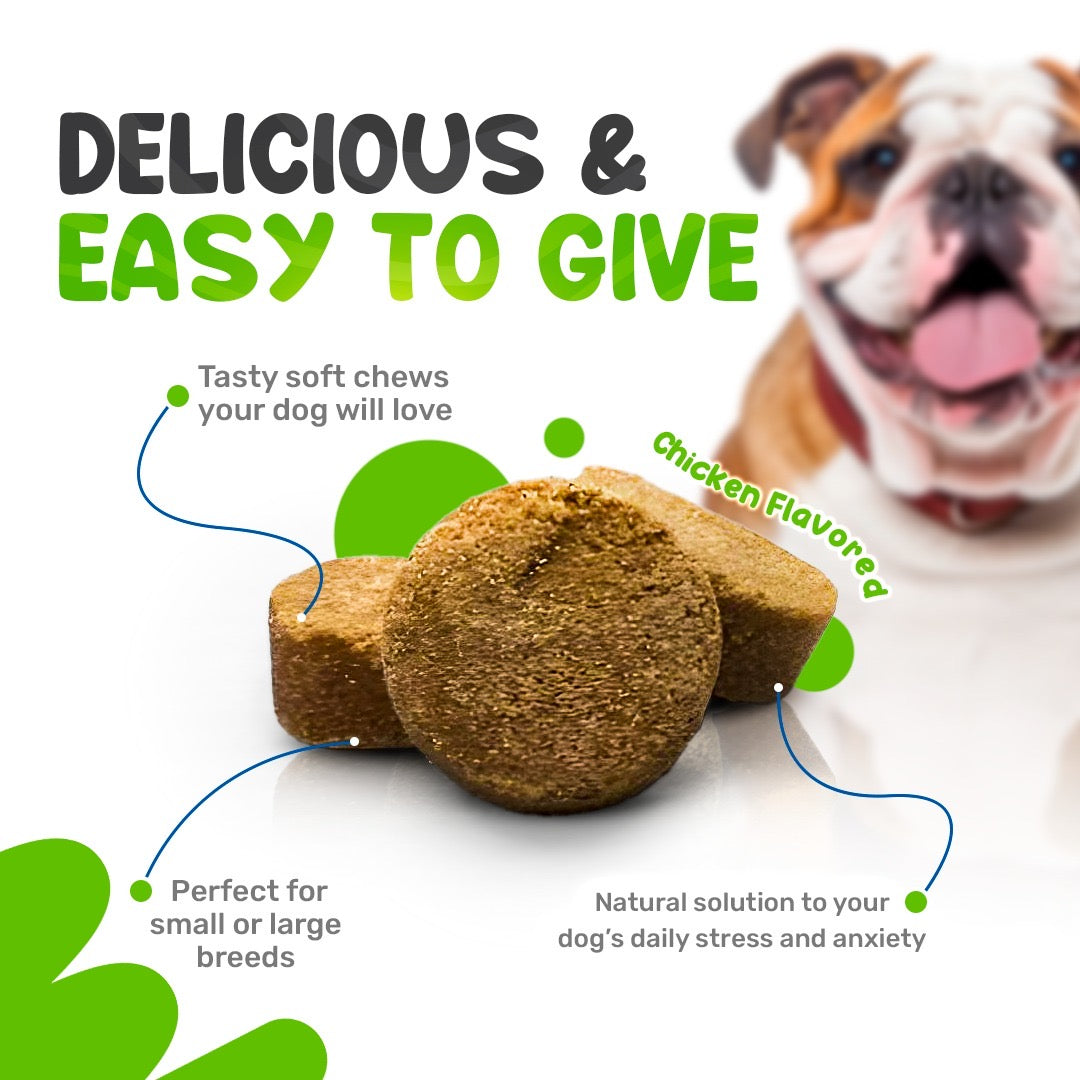 sniff 'n' chomp allergy & immune support for dogs – chicken flavor – 90 soft chews – skin, coat & immune system support – with colostrum, turmeric, salmon oil, apple cider vinegar & probiotics - sniff 'n' chomp
