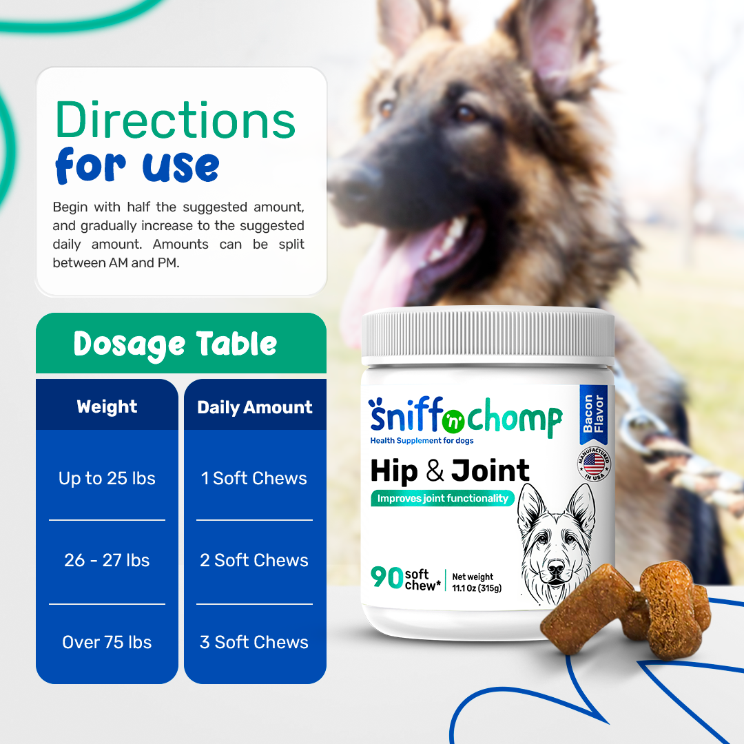 chews with chondroitin, msm and glucosamine for dogs