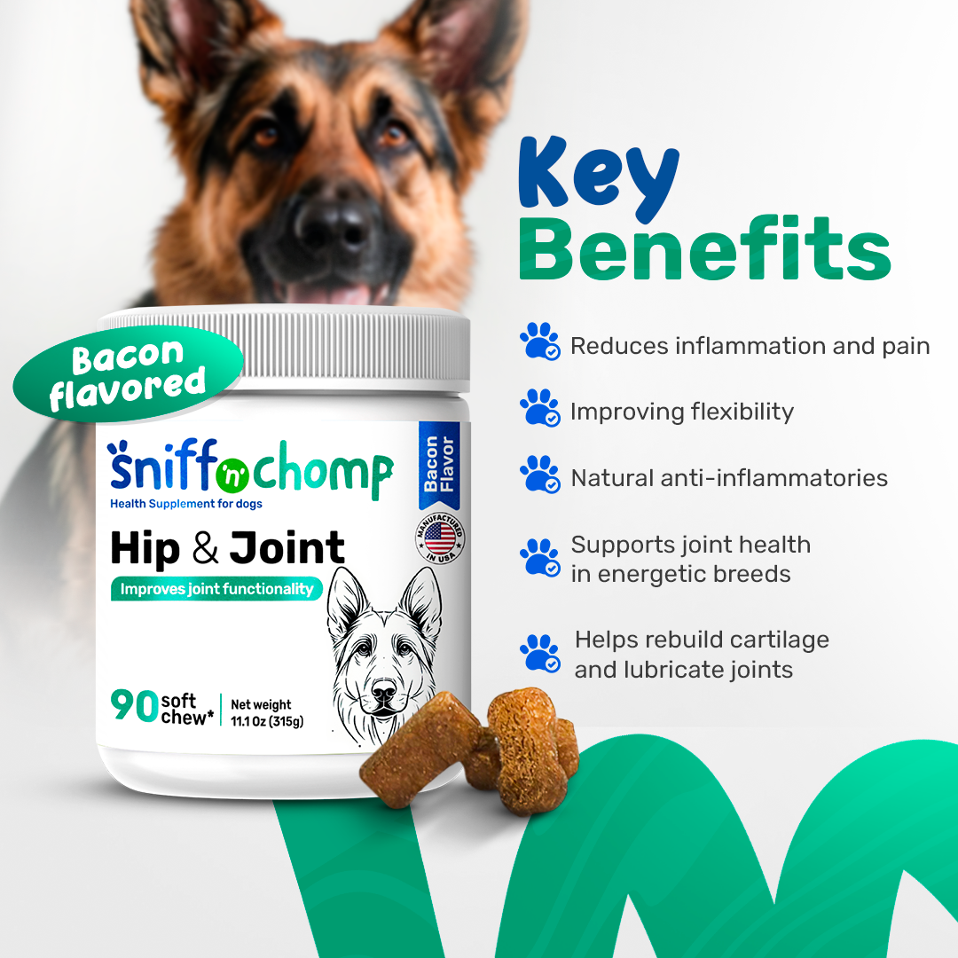 chews with chondroitin, msm and glucosamine for dogs