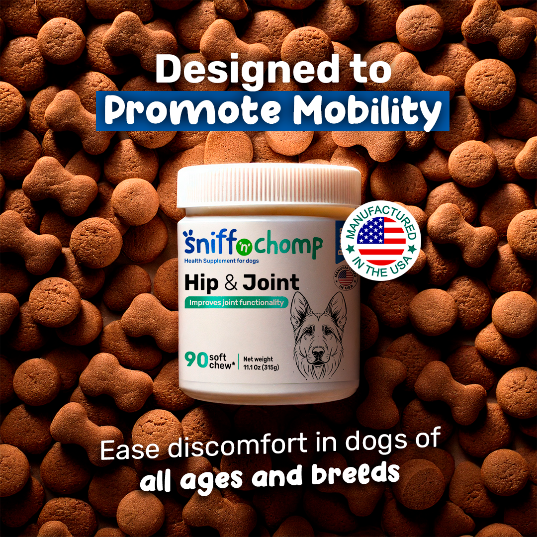 chews with chondroitin, msm and glucosamine for dogs