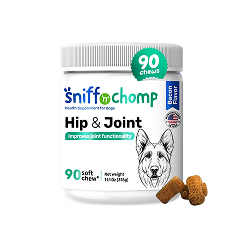 Hip & Joint