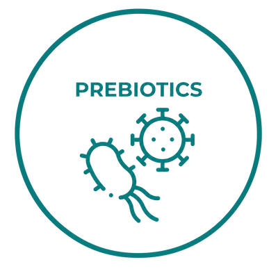 Healthy Gut Flora