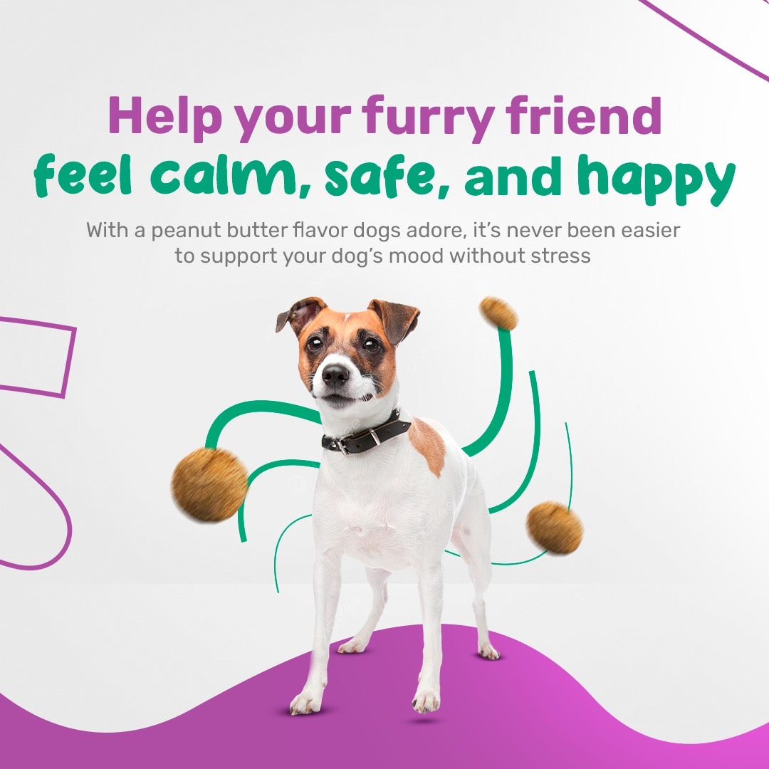 Sniff 'n' Chomp Calming Chews with melatonin for Dogs 