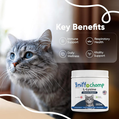 Immune Support L-Lysine Powder for Cats - Sniff 'n' Chomp
