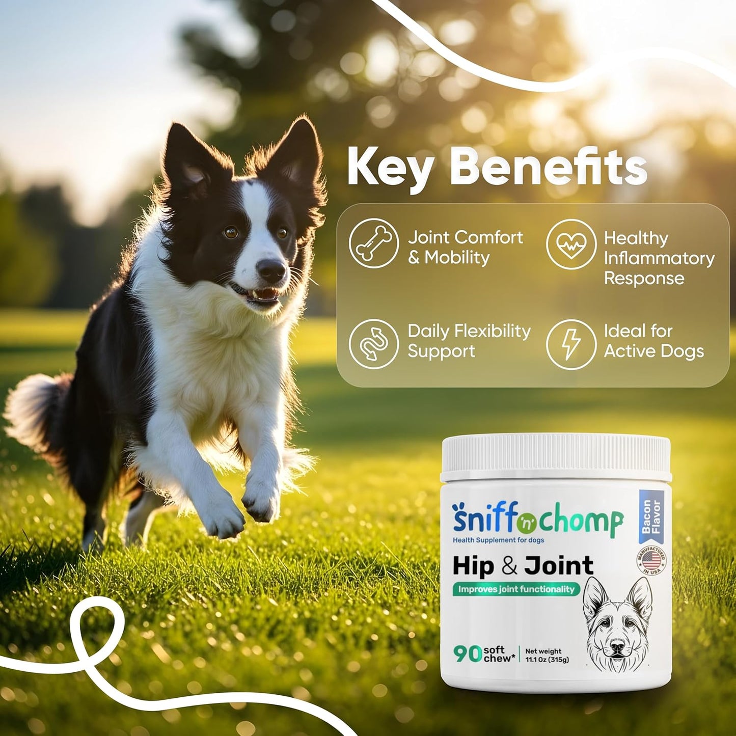 hip and joint chews - sniff 'n' chomp