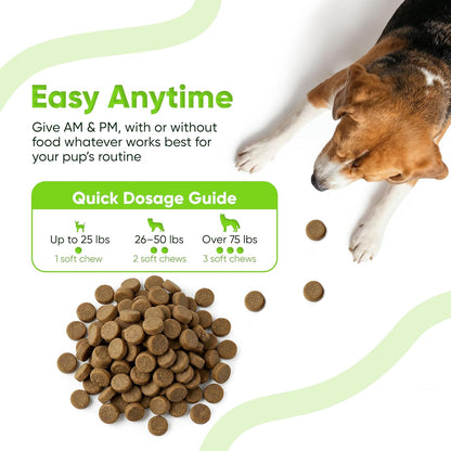 Allergy and Immune Support Chews - Sniff 'n' Chomp