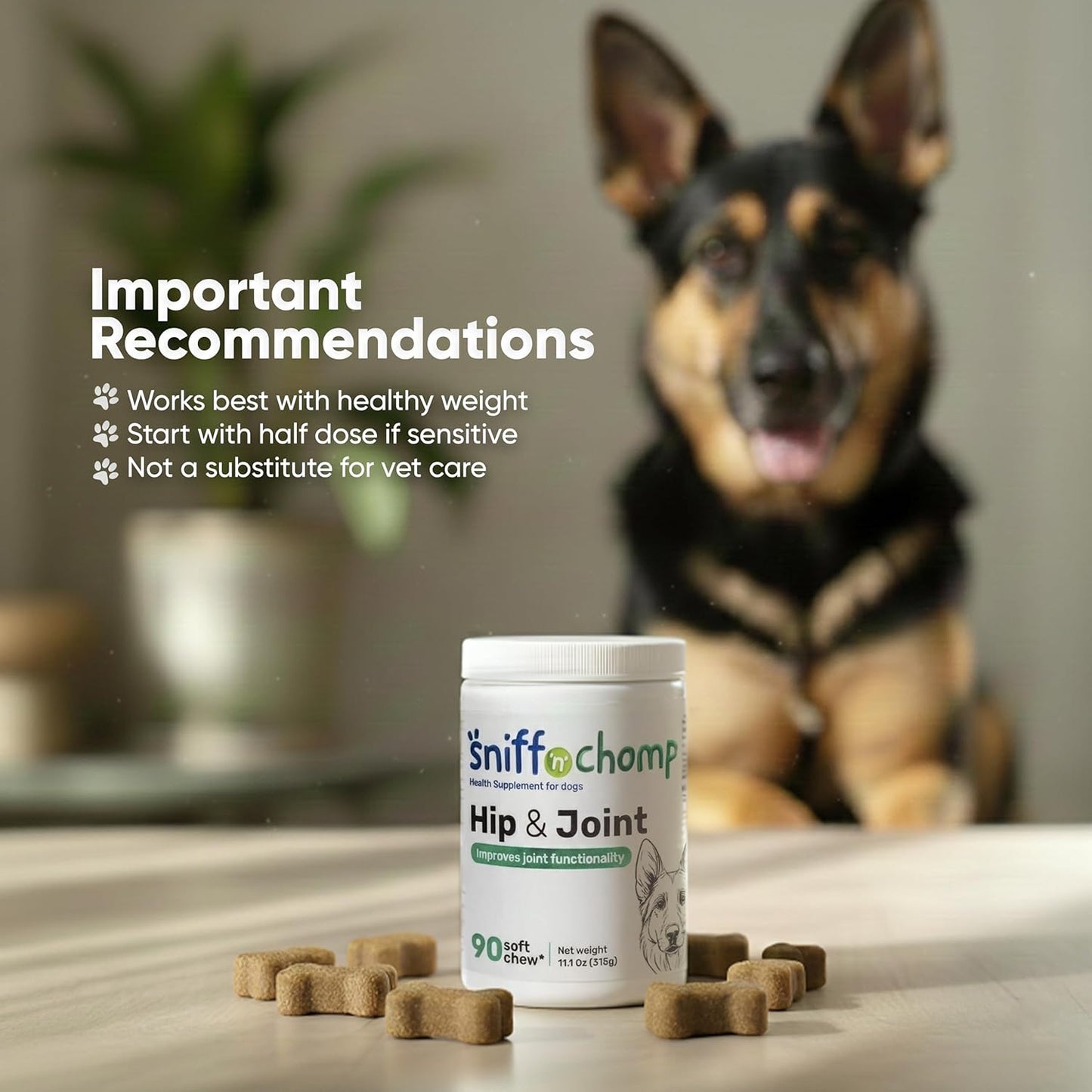 hip and joint chews - sniff 'n' chomp