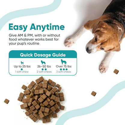 Digestive & Gut Support Probiotics Chews - Sniff 'n' Chomp