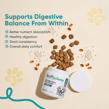 Digestive & Gut Support Probiotics Chews - Sniff 'n' Chomp