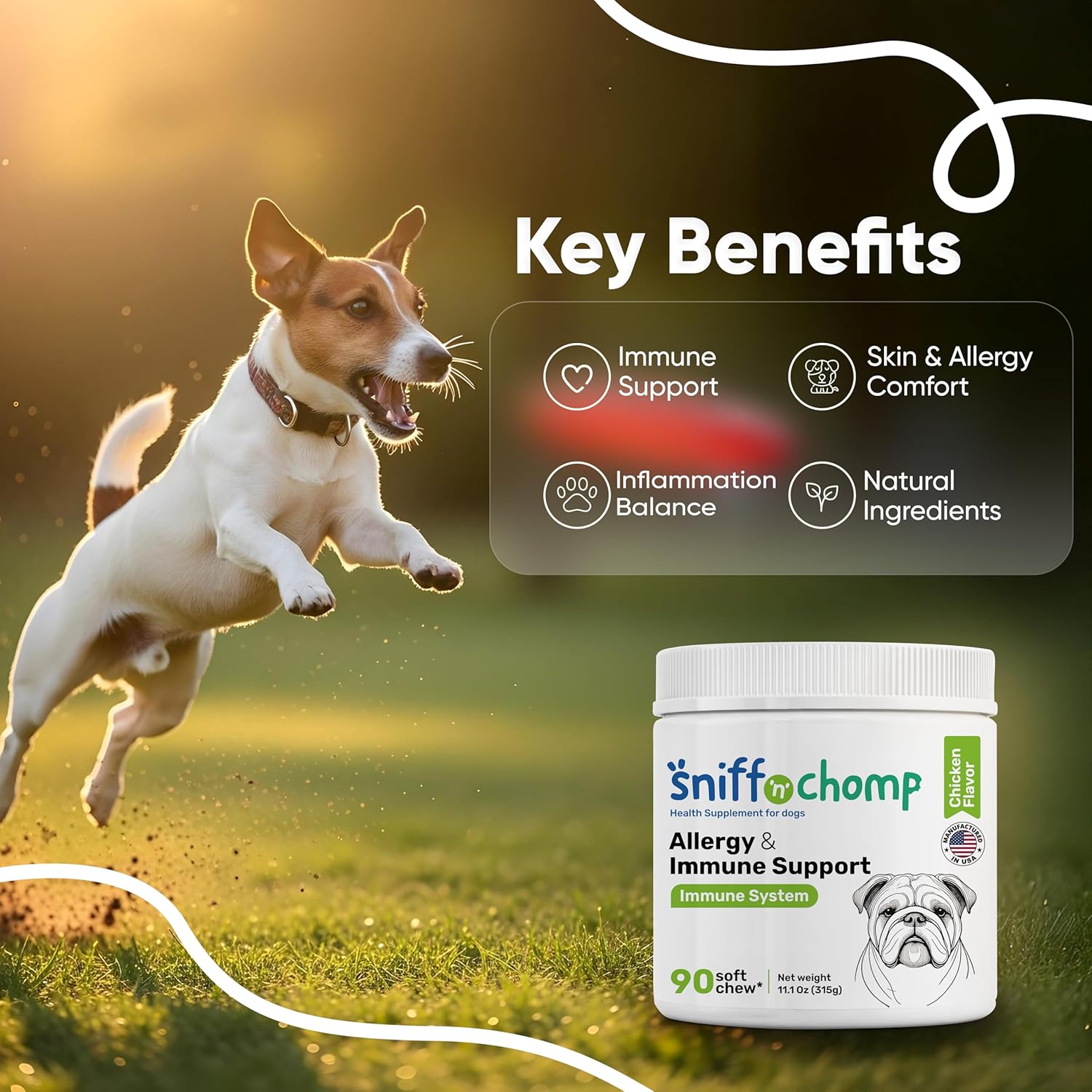 Allergy and Immune Support Chews - Sniff 'n' Chomp