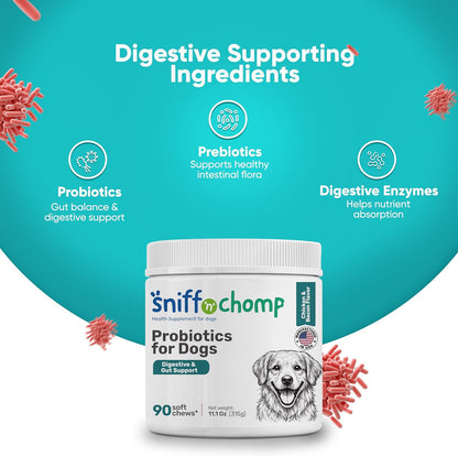 Digestive & Gut Support Probiotics Chews - Sniff 'n' Chomp