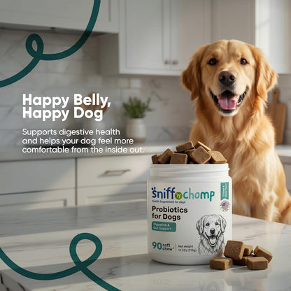 Digestive & Gut Support Probiotics Chews - Sniff 'n' Chomp