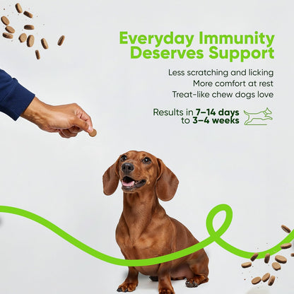 Allergy and Immune Support Chews - Sniff 'n' Chomp