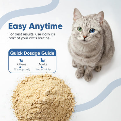 Immune Support L-Lysine Powder for Cats - Sniff 'n' Chomp