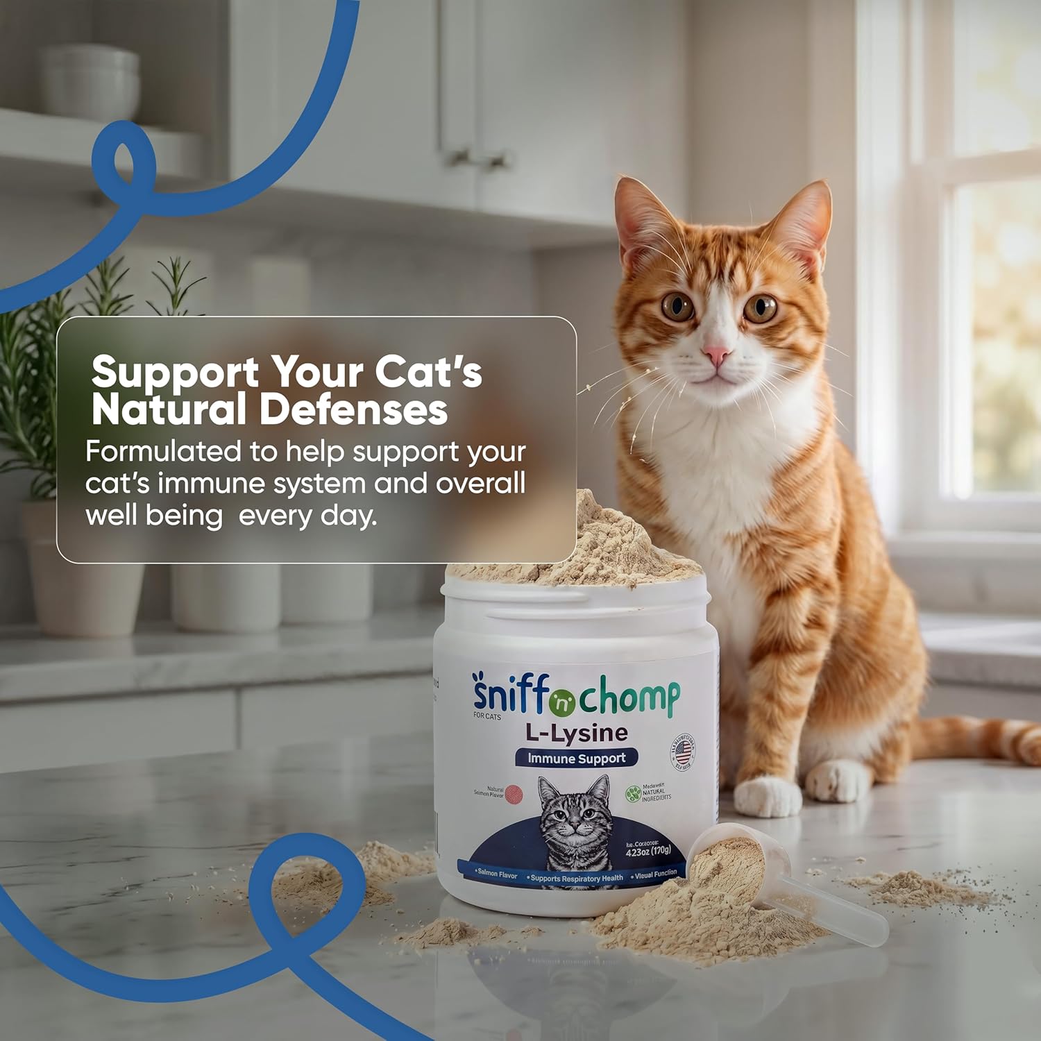 Immune Support L-Lysine Powder for Cats - Sniff 'n' Chomp