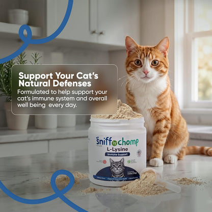 Immune Support L-Lysine Powder for Cats - Sniff 'n' Chomp