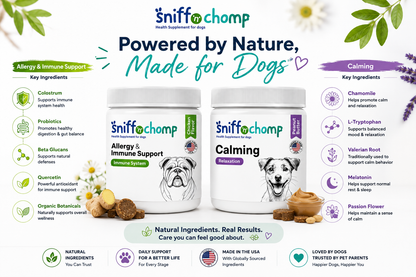 Calm & Comfort Duo – For Sensitive, Stressed Dogs - Sniff 'n' Chomp