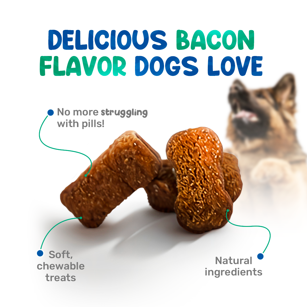 Chews with Chondroitin, MSM and glucosamine for dogs