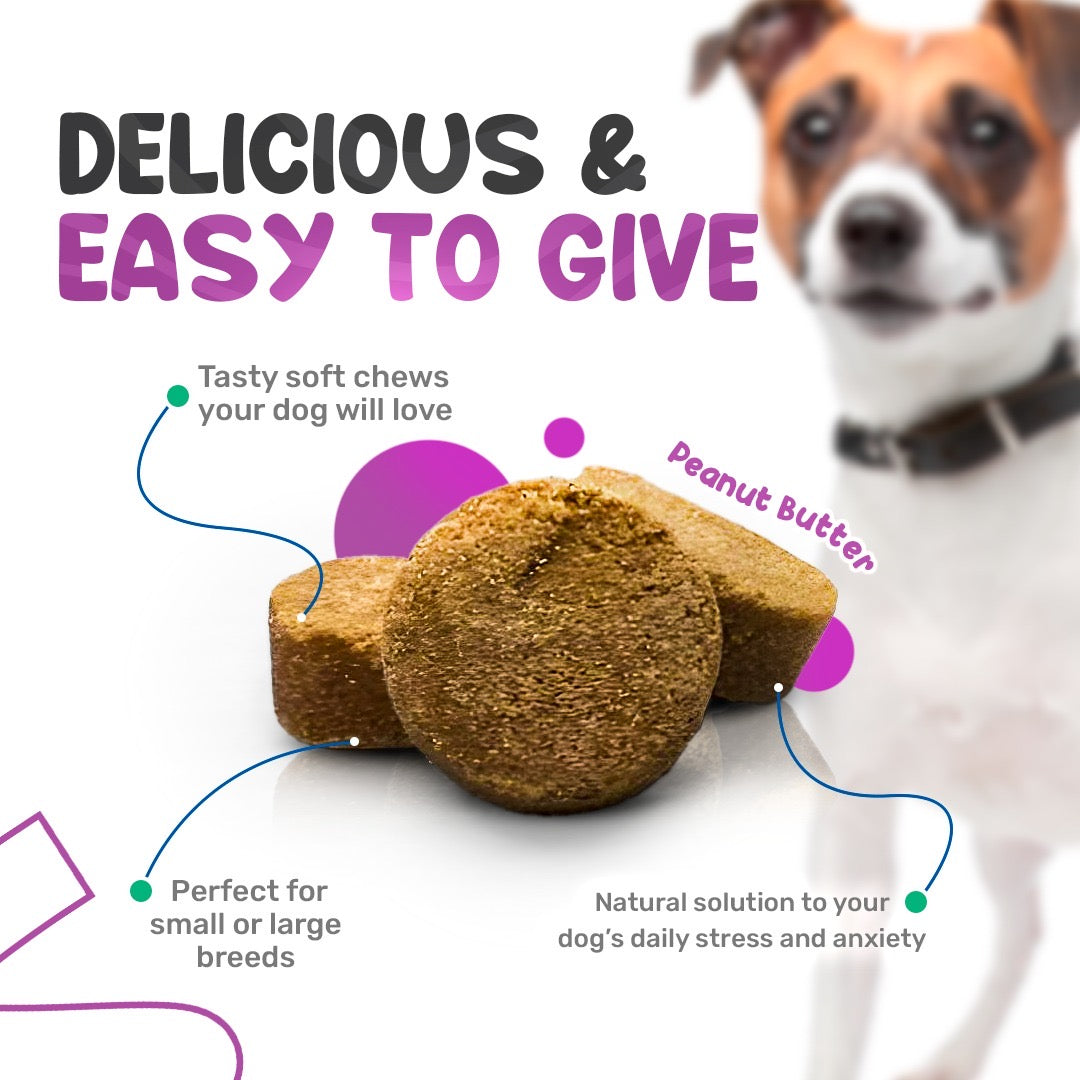 Sniff 'n' Chomp Calming Chews with melatonin for Dogs 